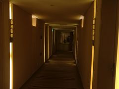 -电谷雅阁国际大酒店