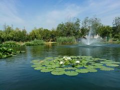 -前关湿地公园