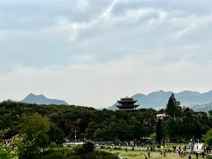 -贵州百里杜鹃风景名胜区