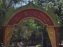 -瑞丽独树成林风景区