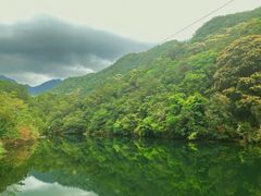 -雁南飞茶田景区