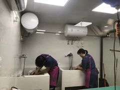 -东莞宠友24H宠物中心医院·转诊夜诊·异宠(新河北路院)