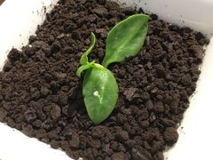 -炉鼎记私房菜(总店)