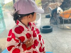 -石家庄市动物园