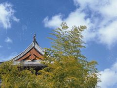 -龙华寺
