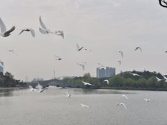 -东湖景区