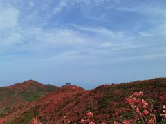 -大围山国家森林公园
