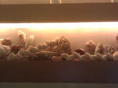 装饰品-天津水游城丽筠酒店