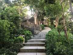 -小南山公园