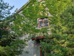 -农园餐厅(北京大学店)