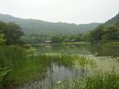 -八卦田遗址公园