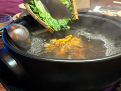 -滇野云南野生菌餐厅(陕西南路店)