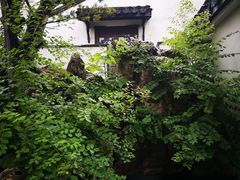 -金庸书院