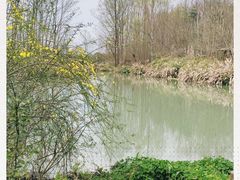 -桤木河湿地公园