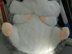 -牛街同乐祥肉饼店(天通苑店)