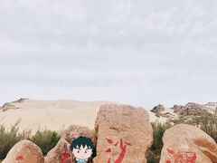 -玉龙沙湖景区