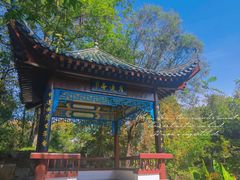 -月湖风景区