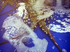 iphone_upload_pic-班赞海鲜市场