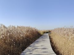 -野鸭湖国家湿地公园