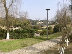 -铁山坪森林公园