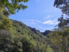 -大岭沟猕猴桃谷风景区