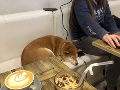-小时光咖啡馆(北锣鼓巷店)