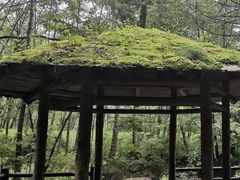 -五营国家森林公园