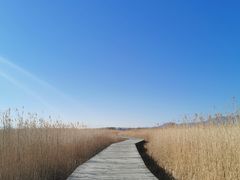 -野鸭湖国家湿地公园