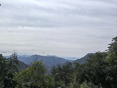 -大岭沟猕猴桃谷风景区