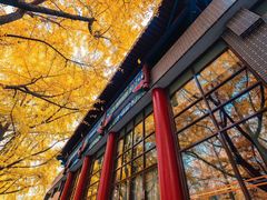 -四川大学(华西校区)