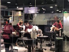 -宠物家(角门东店)
