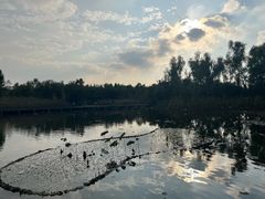 -昆山城市生态森林公园