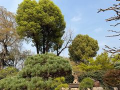 -琵琶语评弹茶馆(苏州平江路店)