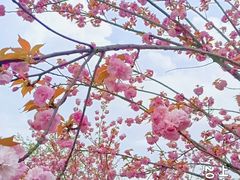 -苏州上方山国家森林公园