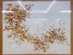 -英冠索菲特酒店·萧湘阁中餐厅