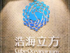 -成都浩海立方海洋公园