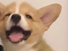 -金色印象·4K影院式足体养生(香榭里店)