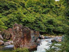 -石台牯牛降景区