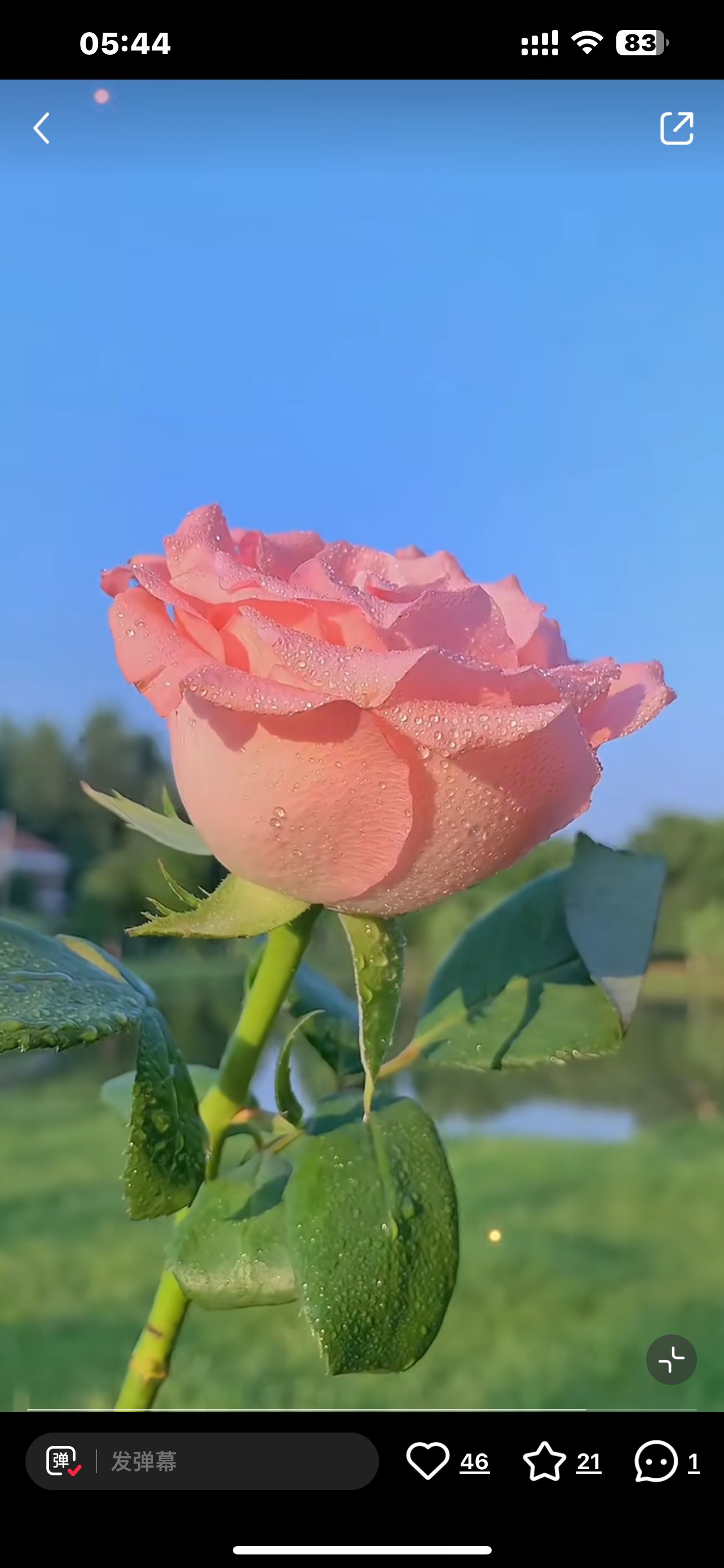 爱什么手机(爱什么分什么成语)