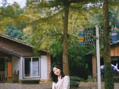 -田野绿世界