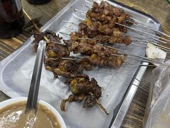 -海波肉串(金顶山大街店)