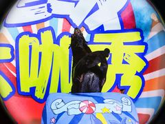-南昌海洋公园