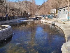 -白水寺森林公园