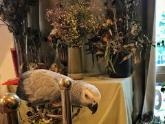 -森野花艺培训·企业团建活动沙龙