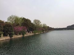 -桃花岛景观公园