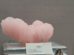 -湖南省地质博物馆