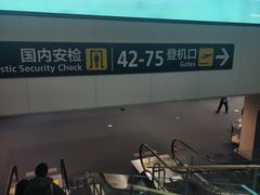 -青岛胶东国际机场