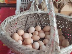 -马陆小张葡萄园农家乐