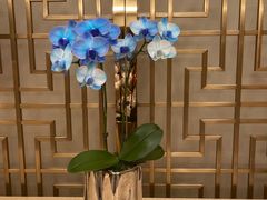 -杭州城中香格里拉大酒店