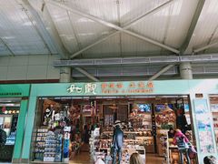 -丽江三义国际机场